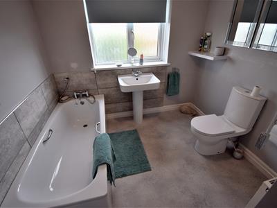 Picture 11